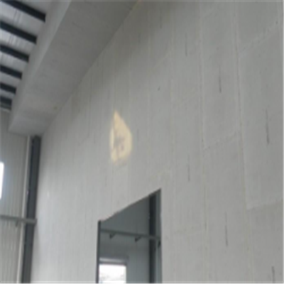 霍邱宁波ALC板|EPS加气板隔墙与混凝土整浇联接的实验研讨